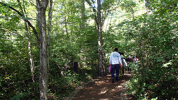 ハルニレテラス付近